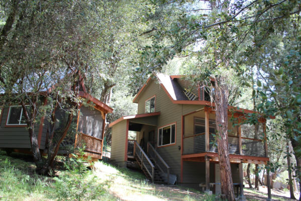 599 TRAILS END DR, SPRINGVILLE, CA 93265 - Image 1