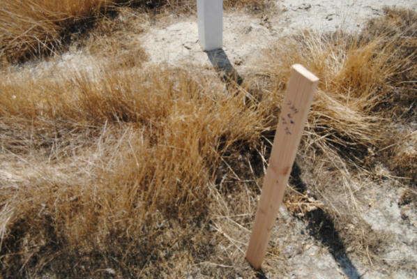 NO STREET NAME, LOT 19, ALLENSWORTH, CA 93219, photo 5 of 7