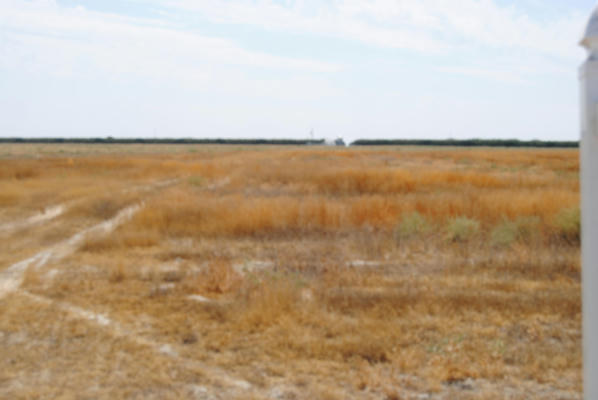 ROAD 80 AND AVENUE 16, LOT 19, ALLENSWORTH, CA 93219 - Image 1